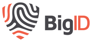 Logo BIGID